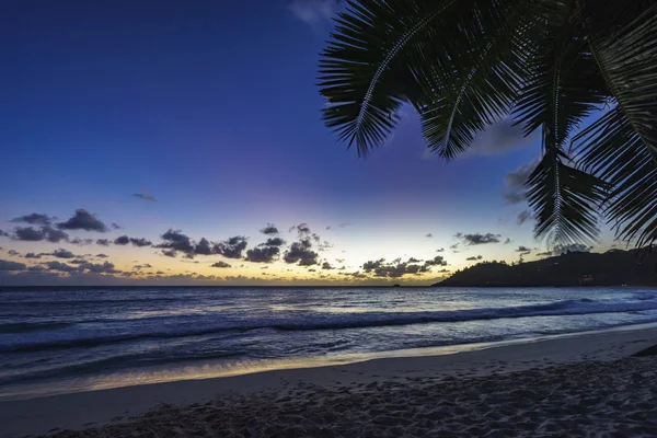 Po zachodzie słońca na tropikalnej plaży za liść palmowy, anse intendentury, — Zdjęcie stockowe