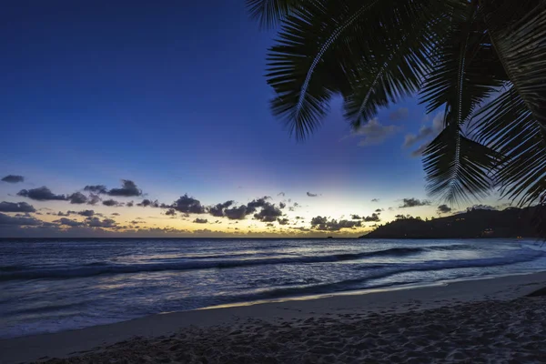 Após o pôr do sol na praia tropical atrás da folha de palmeira, anse intendance , — Fotografia de Stock