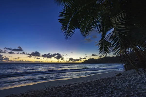 Na zonsondergang op tropisch strand achter palmtak, anse best, — Stockfoto