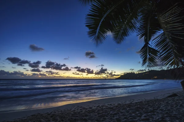 Na zonsondergang op tropisch strand achter palmtak, anse best, — Stockfoto