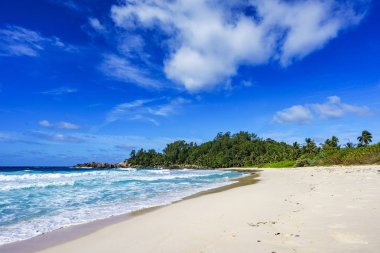 Güzel tropikal plaj, avuç içi, beyaz kum, Granit kayalar, Seyşel Adaları