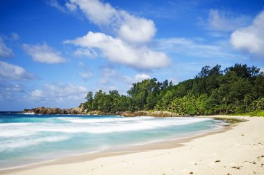 güzel cennet tropikal plaj, avuç içi, kayalar, beyaz kum, Turkuaz su