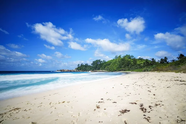 güzel cennet tropikal plaj, avuç içi, kayalar, beyaz kum, turquoi