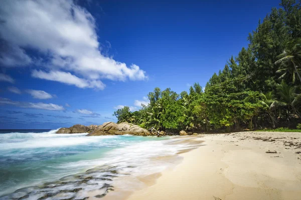 아름 다운 낙원 열 대 해변, 야자수, 바위, 하얀 모래, turquoi — 스톡 사진