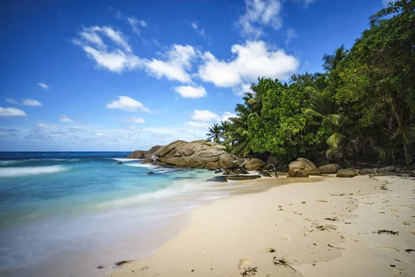 아름 다운 낙원 열 대 해변, 야자수, 바위, 하얀 모래, turquoi — 스톡 사진