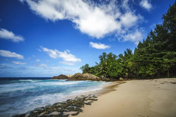 Prachtige paradijs tropisch strand met palmbomen, rotsen, wit zand, turquoi — Stockfoto
