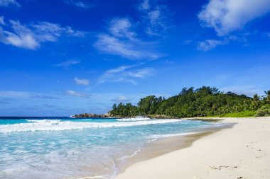 Güzel tropikal plaj, avuç içi, beyaz kum, Granit kayalar, Seyşel Adaları