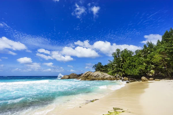 Hermosa playa tropical, palmeras, arena blanca, rocas de granito, seychelles — Foto de Stock