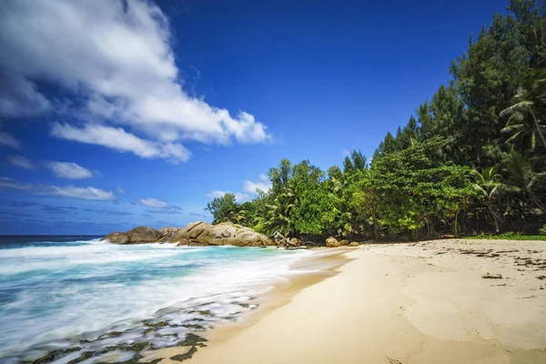 아름 다운 낙원 열 대 해변, 야자수, 바위, 하얀 모래, 청록색 물 — 스톡 사진