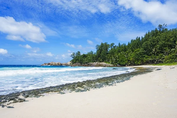 Hermosa playa tropical, palmeras, arena blanca, rocas de granito, seychelles — Foto de Stock