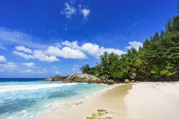 Plajă tropicală frumoasă, palmieri, nisip alb, roci de granit, seychelles — Fotografie, imagine de stoc