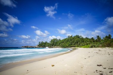 güzel cennet tropikal plaj, avuç içi, kayalar, beyaz kum, Turkuaz su