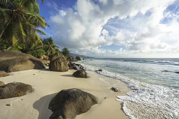 Hermosas palmeras en la playa tropical salvaje anse marie-louise, seychel — Foto de Stock