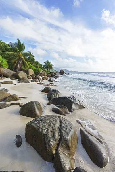 Belas palmas na praia tropical selvagem anse marie-louise, seychel — Fotografia de Stock