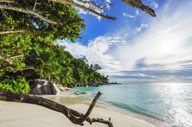 avuç içi, kayalar ve turkuaz su şubelerinde üzerinden seyir 