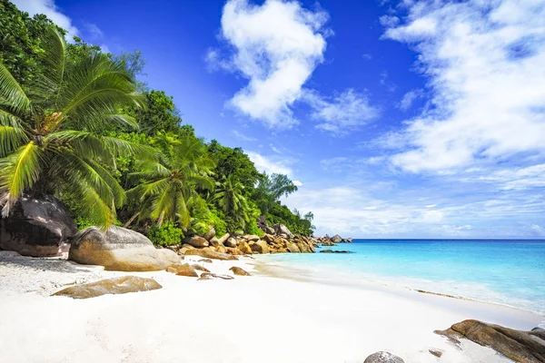 팜, 하얀 모래, 화강암 바위와 열 대 해변에서 청록색 물 — 스톡 사진