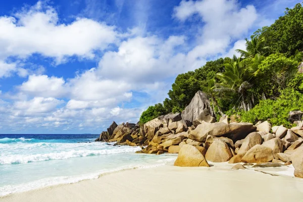 Playa tropical con rocas, palmeras, arena blanca, agua turquesa, paraíso — Foto de Stock