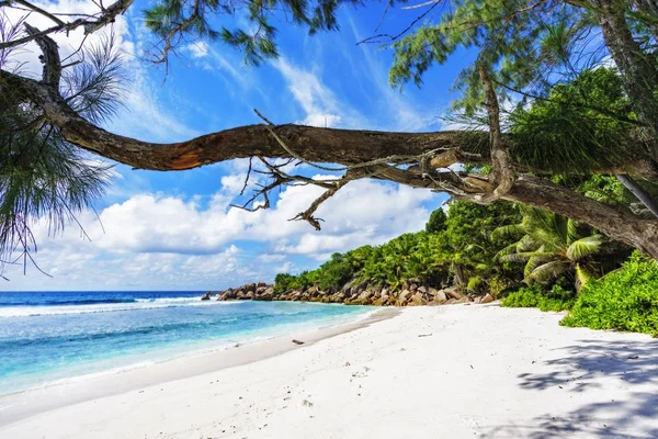 아름 다운 열 대 해변 화강암 바위, 하얀 모래, 청록색 — 스톡 사진