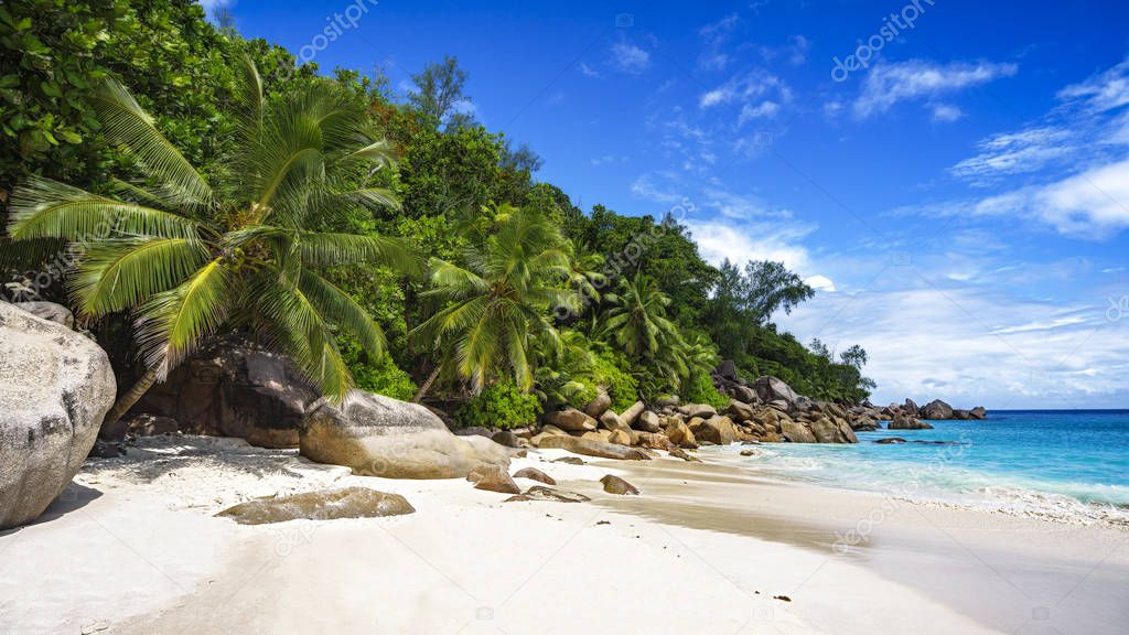 palms,white sand,granite rocks and turquoise water at tropical beach