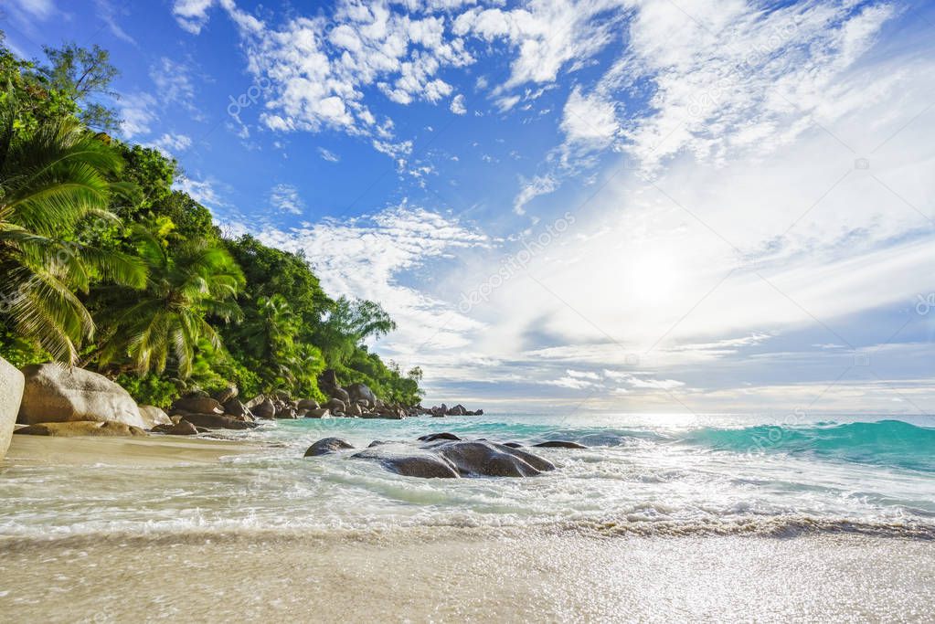 Paradise tropical beach with rocks,palm trees and turquoise water