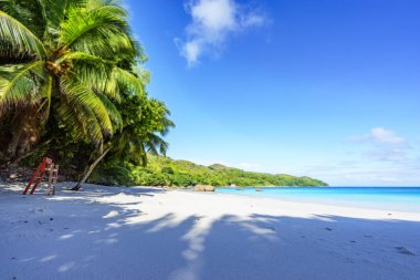 Cennet plaj. Beyaz kum, turkuaz su, tropikal, palmiye ağaçları