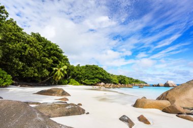 Cennet plaj. Beyaz kum, turkuaz su, tropikal, palmiye ağaçları