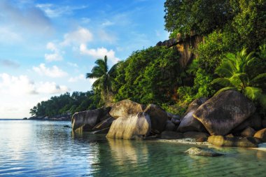 Güzel pastoral Cennet plaj granit kayalar, avuç içi ve tu