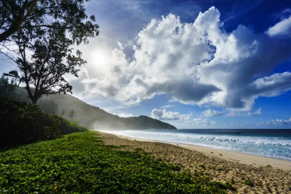 Seyşel Adaları üzerinde polis Koyu'ndaki su spreyi ile vahşi tropikal plaj
