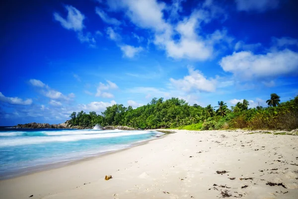 Paradijs tropisch strand, rotsen, palmen en wit zand, turquoise water, — Stockfoto