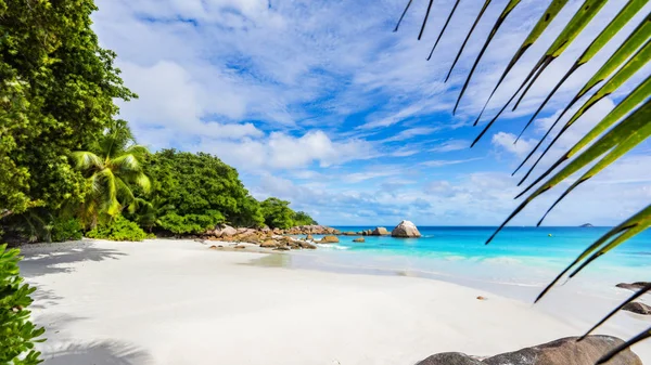 Paradise beach. Białym piaskiem, turkusową wodą, palmy w tropical — Zdjęcie stockowe