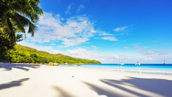 Paradise beach. Białym piaskiem, turkusową wodą, palmy w tropical — Zdjęcie stockowe