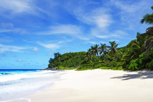 Krásný paradise beach, bílý písek, tyrkysové vody, palmy, Seychely — Stock fotografie