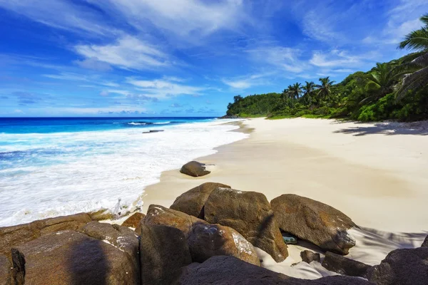美丽的天堂海滩, 白色的沙子, 绿松石水, 棕榈树, 岩石, — 图库照片