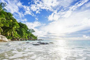 Cennet tropikal plaj kayalar, palmiye ağaçları ve turkuaz wate