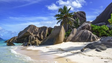 kayalar, beyaz kum, avuç içi, turkuaz su tropikal Beach, la diqu