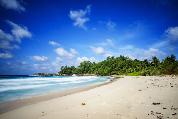 낙원 열 대 해변, 야자수, 바위, 하얀 모래, 청록색 물, — 스톡 사진