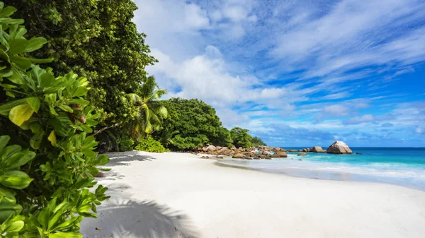 Paradise beach. Bílý písek, tyrkysové vody, palmy v tropical — Stock fotografie