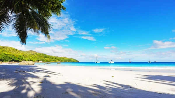 Παραλία Paradise. Λευκή άμμο, τιρκουάζ νερά, φοίνικες στο τροπικό — Φωτογραφία Αρχείου