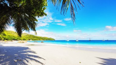 Cennet plaj. Beyaz kum, turkuaz su, tropikal, palmiye ağaçları