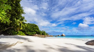 Cennet plaj. Beyaz kum, turkuaz su, tropikal, palmiye ağaçları