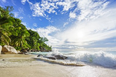Cennet tropikal plaj kayalar, palmiye ağaçları ve turkuaz wate