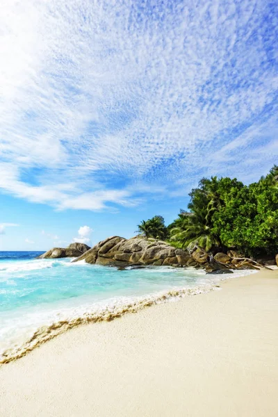 Paraíso praia tropical, palmeiras, rochas, areia branca, água azul-turquesa , — Fotografia de Stock