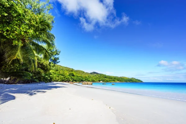 天堂海滩。白色沙子, 绿松石水, 棕榈树在热带 — 图库照片