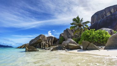 kayalar, beyaz kum, avuç içi, turkuaz su tropikal Beach, la diqu
