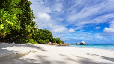 Cennet plaj. Beyaz kum, turkuaz su, tropikal, palmiye ağaçları