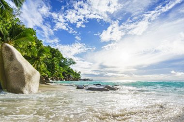 Cennet tropikal plaj kayalar, palmiye ağaçları ve turkuaz wate