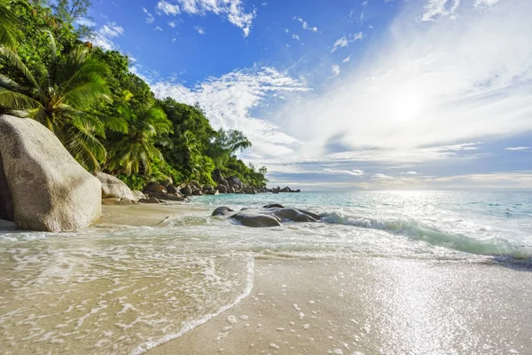 Paradise praia tropical com rochas, palmeiras e turquesa wate — Fotografia de Stock