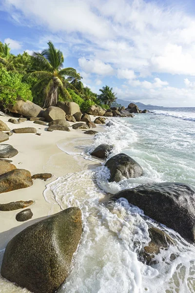 Belas palmas na praia tropical selvagem anse marie-louise, seychel — Fotografia de Stock