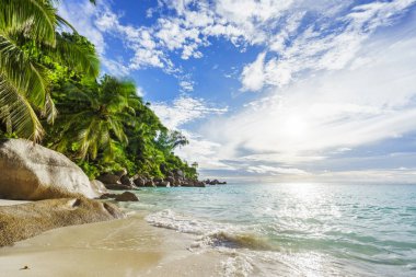 Cennet tropikal plaj kayalar, palmiye ağaçları ve turkuaz wate