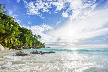 Cennet tropikal plaj kayalar, palmiye ağaçları ve turkuaz wate